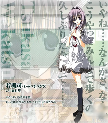 ������ֱװ��