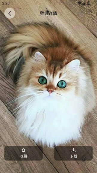 ��è�ɶԱ�ֽapp����