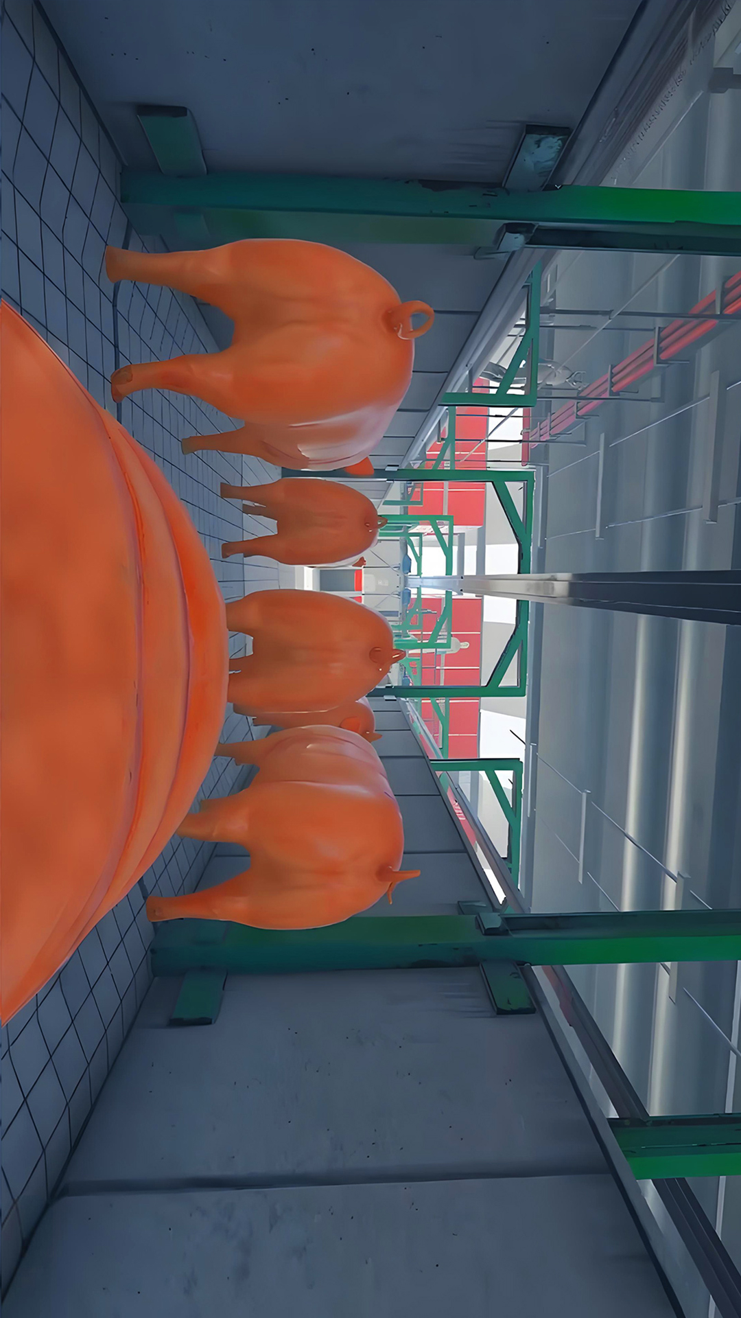 可爱小猪最新版下载v1.0.1 安卓版 可爱小猪最新版下载v1.0.1 安卓版