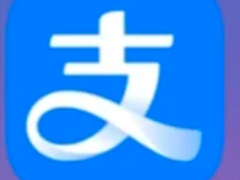 ֧����ת���޶���� ֧����ת���޶���ô����