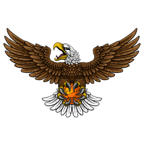 ��ӥTVapp�ٷ�������v8.7 ��׿��