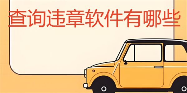 ��ѯΥ����������Щ