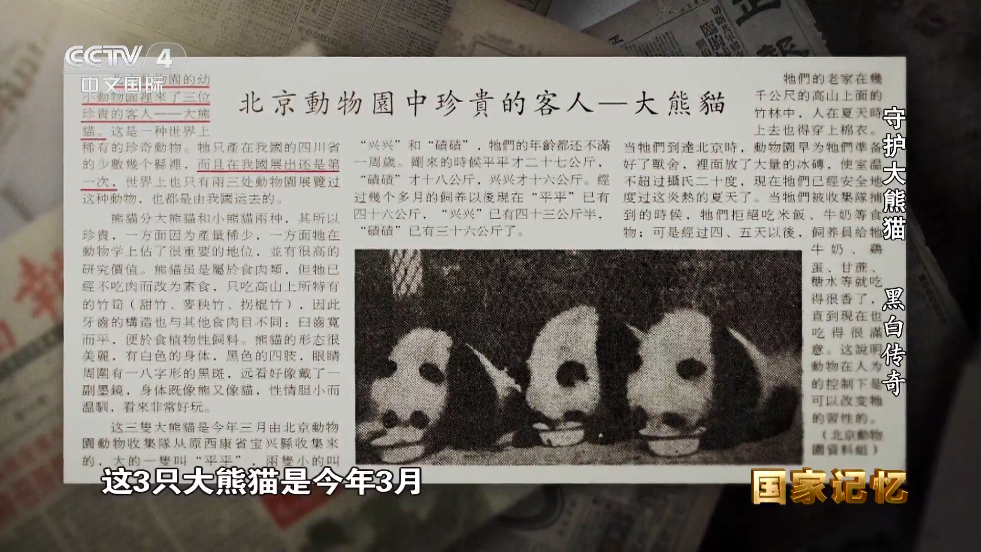 èèTVapk�ٷ�����v1.0.0 ��׿��