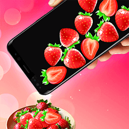 �ֻ�����ʳ��Ϸ���°��v2.1 ��׿��