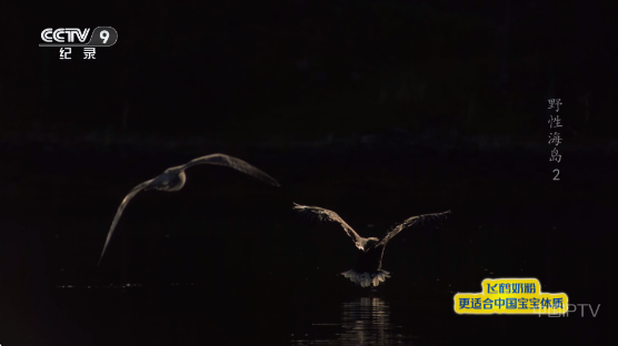 ����TV���Ӱ�����v1.0.0 ��׿��