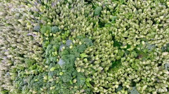 ����TVapp����v1.0.0.0 ��׿��