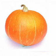 ���Ӱ�ӹٷ����ذ�װ���°�v3.3.5 ��Ѱ�