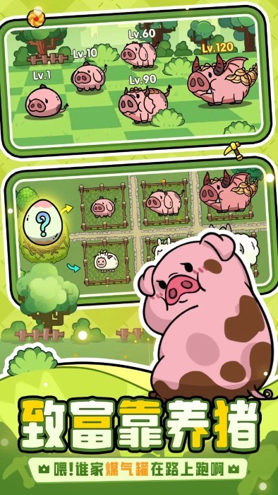 �����֮���ѹٷ���������v11.6.0 ��׿��