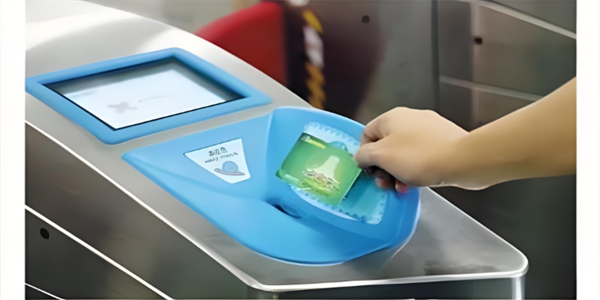 ����������ȫ