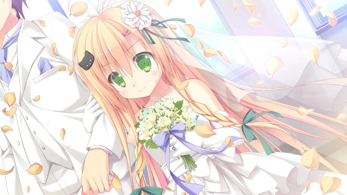 ����֮���ǲ˻�ʢ���ĺ������ֻ���v1.0 ��׿��