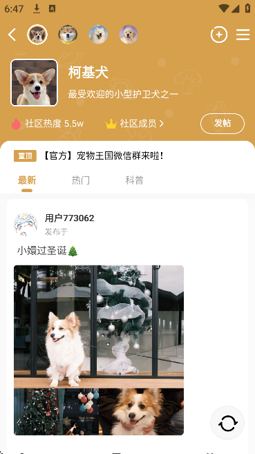 �����������������ֻ���v5.3.1 ���°�