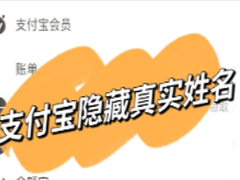 ֧������ô������ʵ���� ֧����������ʵ��������