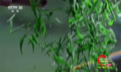 ����TVapp�ٷ���������v1.1.3 ��׿��