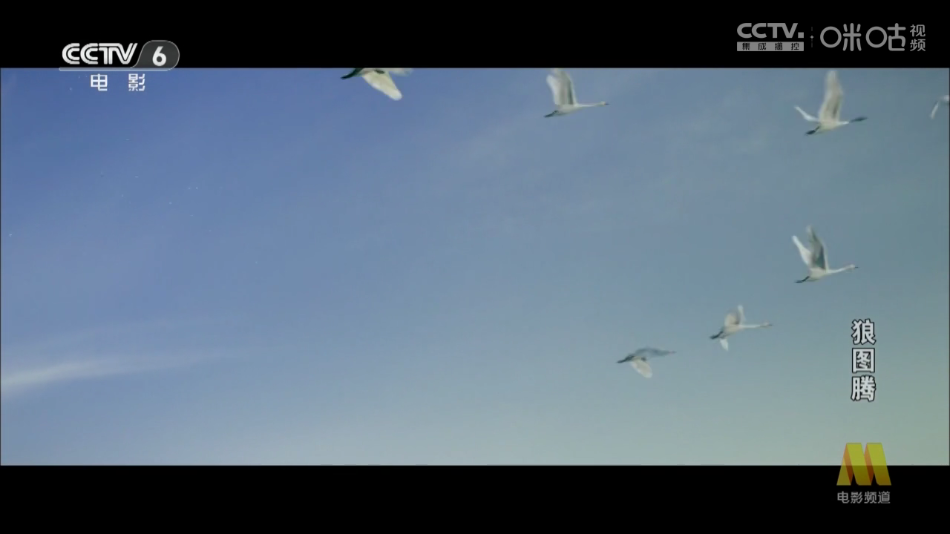 �׷�tv�������°�v1.0.0 �ֻ���