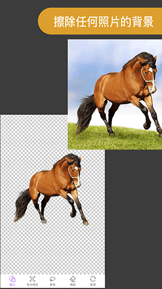 ProKnockoutܿͼv6.2.3 ٷ