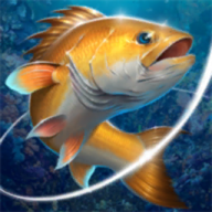 °(FishingHookװ)v2.6.2 ٷ