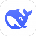 app(deepseek)v1.0.13 °