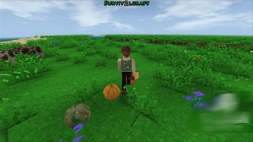 ս2.4(Survivalcraft 2)