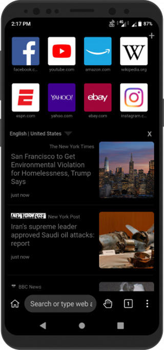 ⨺׿(Kiwi Browser)v132.0.6961.0 ٷ