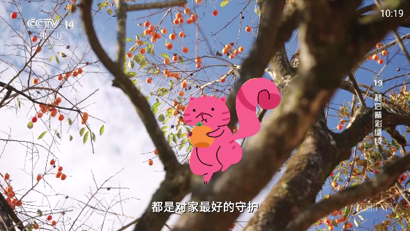 ȫܿtvѰ氲װ޹