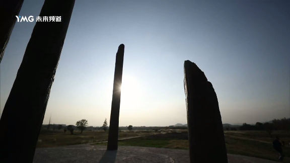 ��¶TVapp���°�����