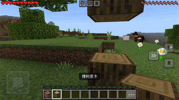 minecraftʰ°汾(ҵ)