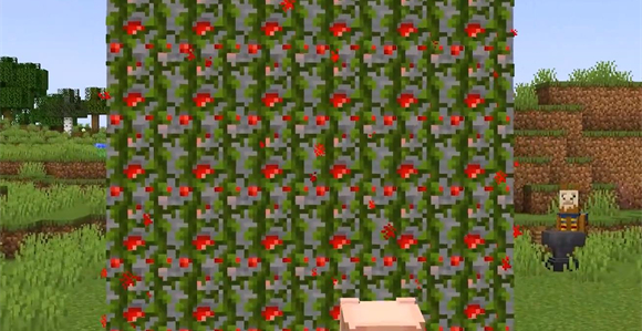 minecraftʰ°汾(ҵ)