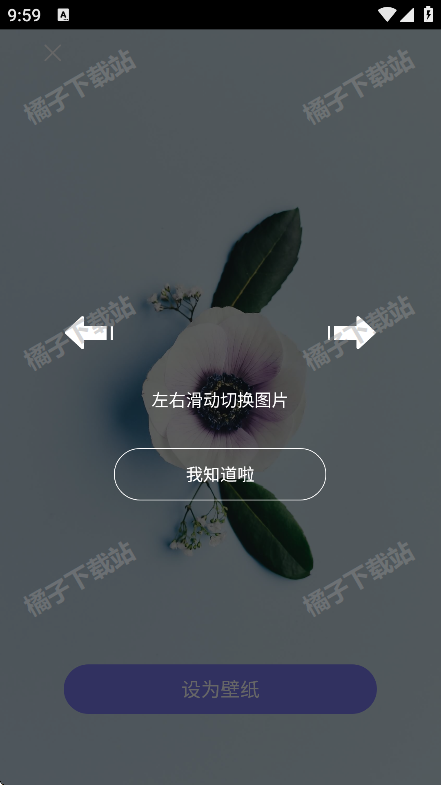 ֽappֻ