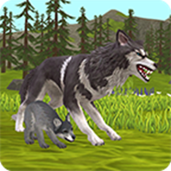3dģѰ(3Dģʷװ)v36.1_powervr ٷ