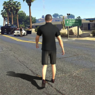 ֮ģ°ذװ(Gangster Mafia)v1.60 ٷ