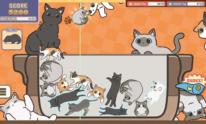 èϷİ(CatTrio)v1.0.0 ֻ