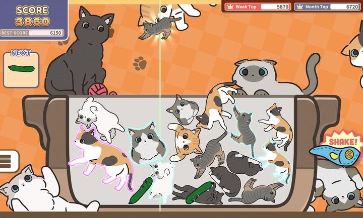 èϷİ(CatTrio)v1.0.0 ֻ