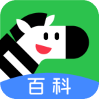 ٿذװֻv2.8.2 °
