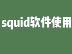 squidʼô squidʼʹý̳