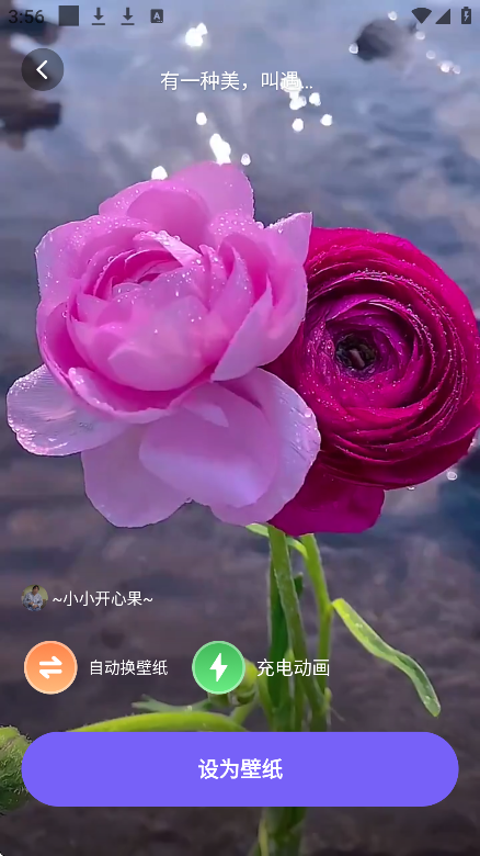 λӽֽ°v1.6.1 ׿