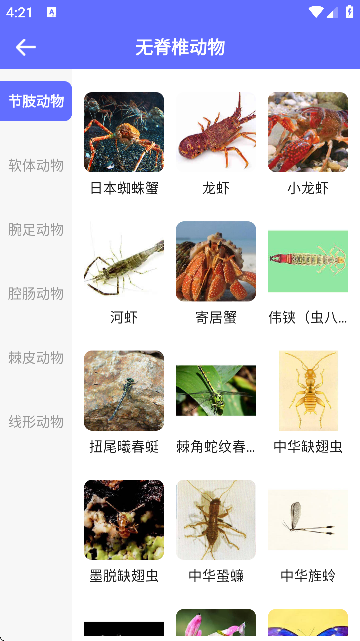 ʶappذװٷ汾v1.0.1 °