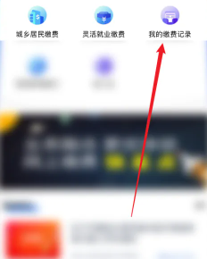 ˰籣ɷappô¼ ˰籣ɷappô鿴ɷѼ¼