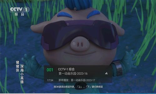 小鹰直播tv版官方下载