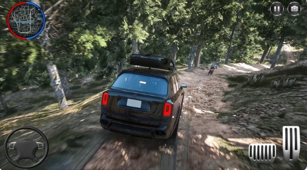 Լ2׿(Rally Racer Dirt)
