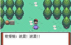 ڴֳ֮ƪ°(ڴرƪ15+չ)