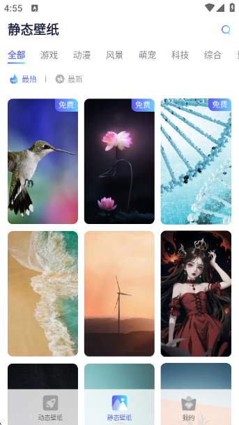 ߴֽapp