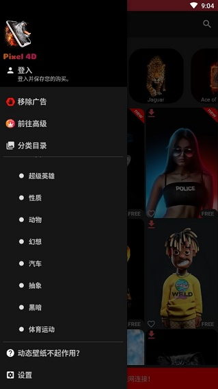 Pixel 4D°