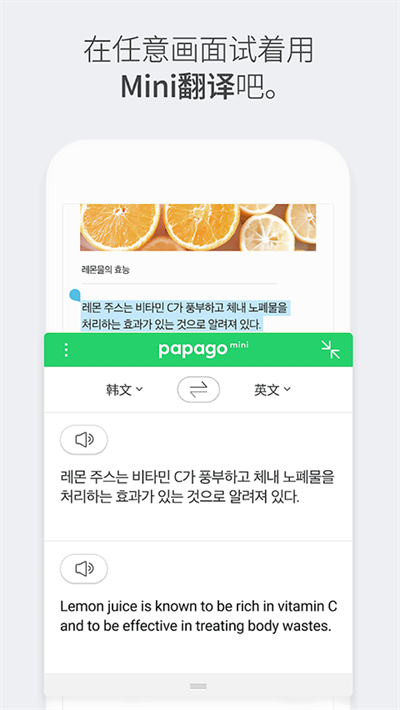 Papagoкv1.10.23 ׿
