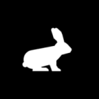 Pikaappv1.0.2 ׿