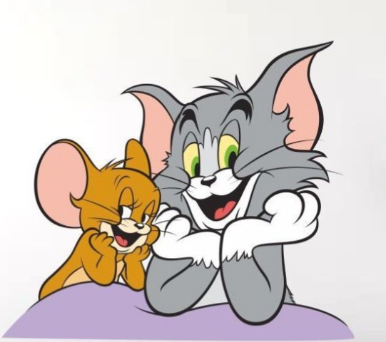 TVٷv20230902-0114 ׿