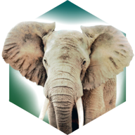 ۶԰app(Ark Nova)v1.0.0 ׿