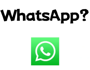 whatsapp whatsappղ֤ô