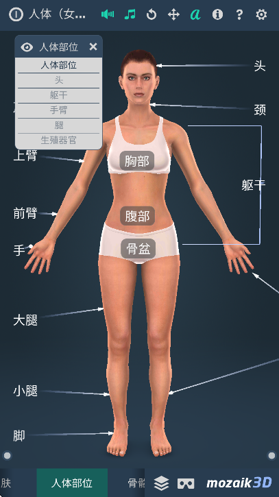 humanbodyٷ2025