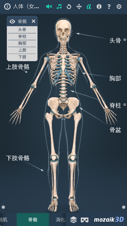 humanbodyٷ2025