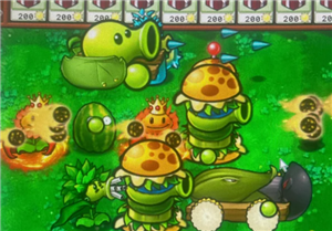 PVZӽôˢʯ PVZӽˢʯ